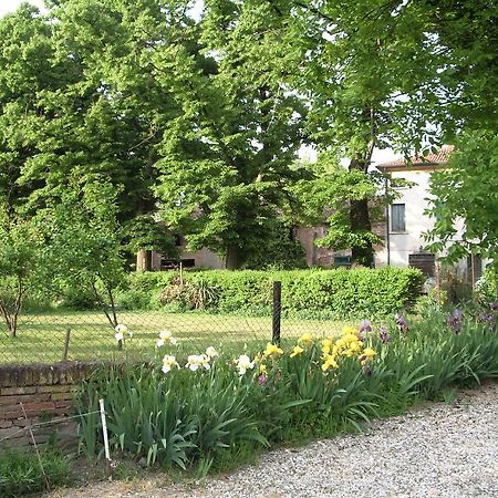 Agriturismo Antica Corte Cason Ronco allʼAdige Eksteriør billede