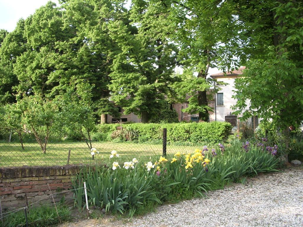 Agriturismo Antica Corte Cason Ronco allʼAdige Eksteriør billede